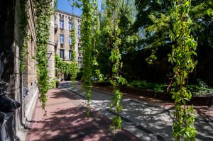 Kamienica Piotrkowska 211 podwórko 01